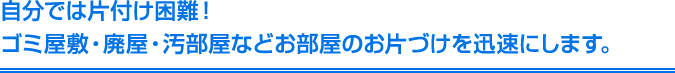 ゴミ屋敷・廃屋・汚部屋などお部屋のお片づけを迅速にします。